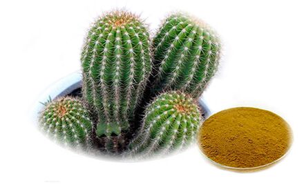 Hoodia gordoni koos Reduslimiga